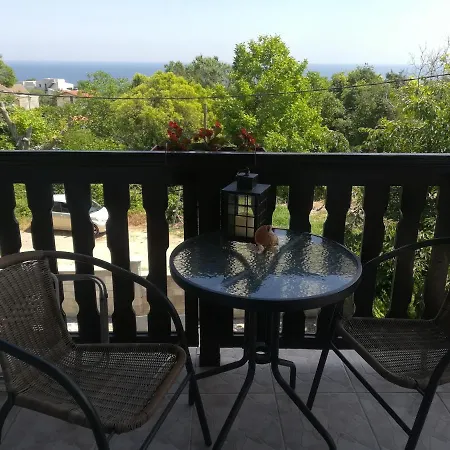 Holly 게스트하우스 *