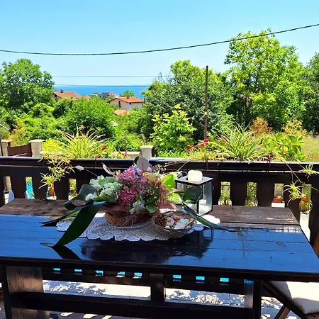 Holly 게스트하우스