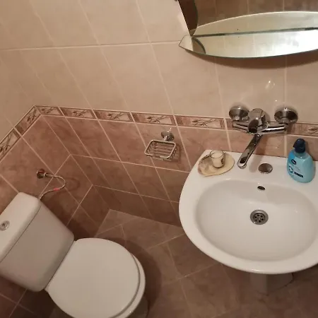 ゲストハウス Holly