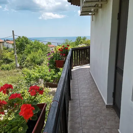 ゲストハウス Holly