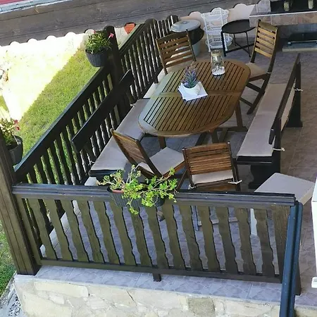 Holly * バルチク