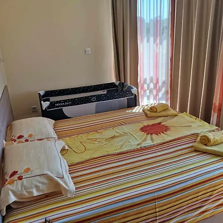 ゲストハウス Holly