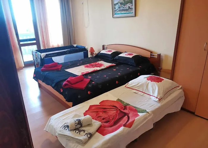 Πανσιόν Holly